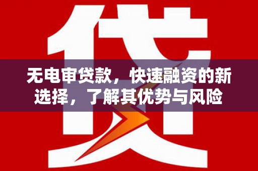 泰州无电审贷款，快速融资的新选择，了解其优势与风险
