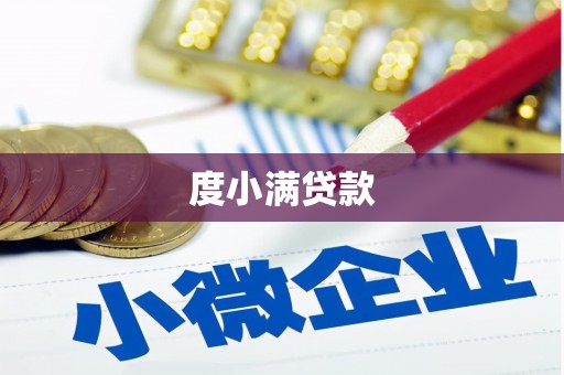 泰州度小满贷款