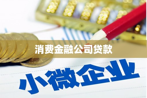 泰州消费金融公司贷款