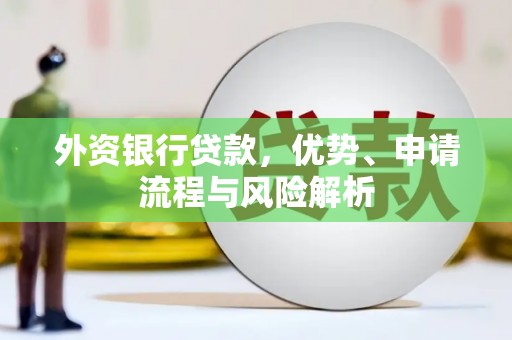 泰州外资银行贷款，优势、申请流程与风险解析