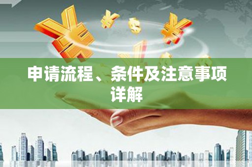 泰州申请流程、条件及注意事项详解