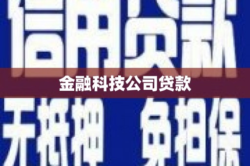 泰州金融科技公司贷款