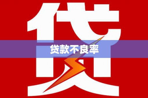 泰州贷款不良率