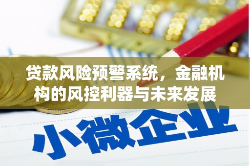 泰州贷款风险预警系统，金融机构的风控利器与未来发展