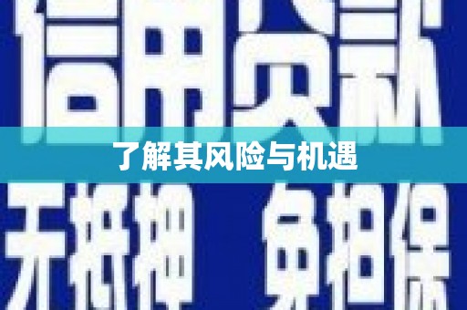 泰州了解其风险与机遇