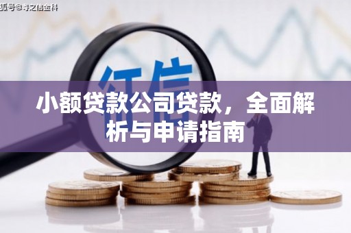 泰州小额贷款公司贷款，全面解析与申请指南