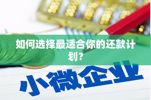 泰州如何选择最适合你的还款计划？
