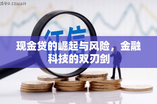 泰州现金贷的崛起与风险，金融科技的双刃剑
