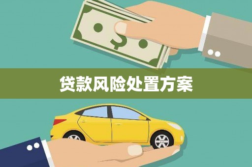 泰州贷款风险处置方案