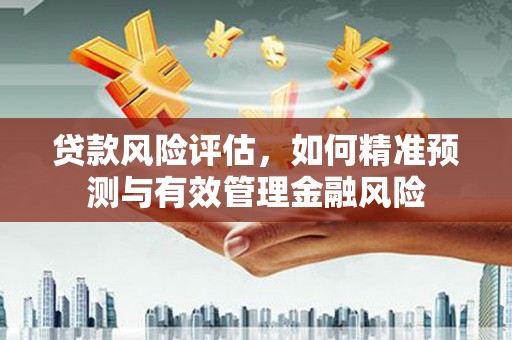 泰州贷款风险评估，如何精准预测与有效管理金融风险