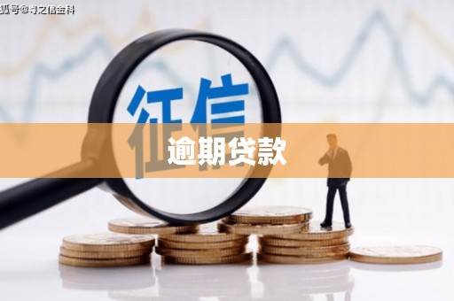 泰州逾期贷款