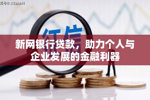 泰州新网银行贷款，助力个人与企业发展的金融利器