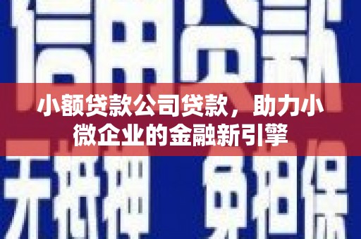 泰州小额贷款公司贷款，助力小微企业的金融新引擎
