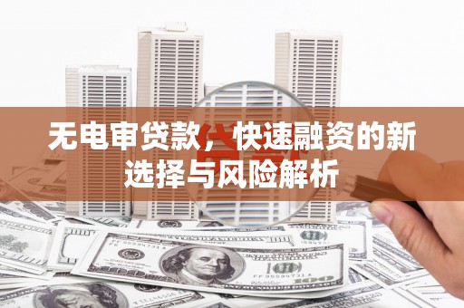 泰州无电审贷款，快速融资的新选择与风险解析
