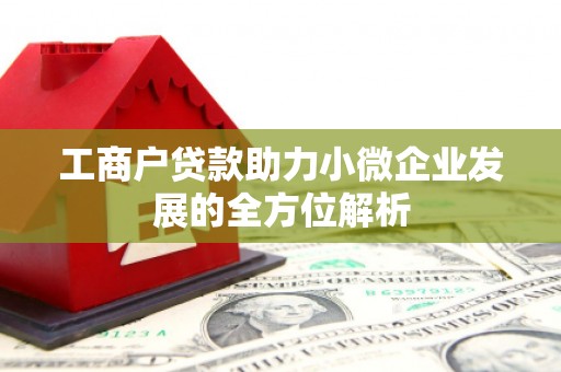 泰州工商户贷款助力小微企业发展的全方位解析
