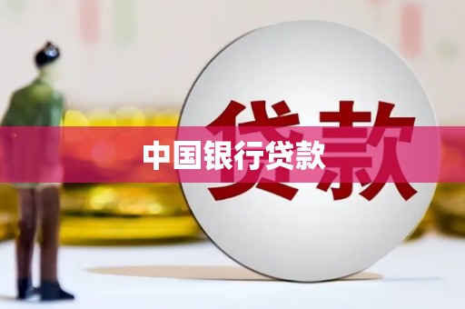 泰州中国银行贷款