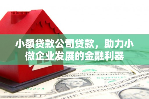 泰州小额贷款公司贷款，助力小微企业发展的金融利器