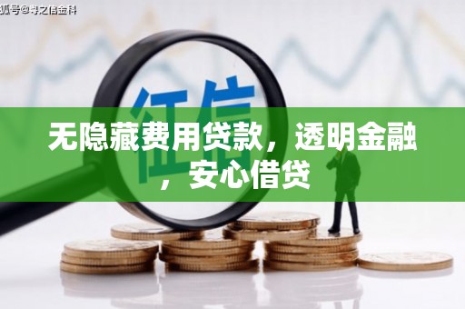 泰州无隐藏费用贷款，透明金融，安心借贷