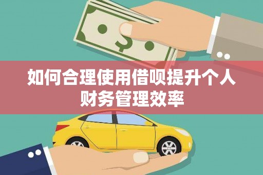 泰州如何合理使用借呗提升个人财务管理效率