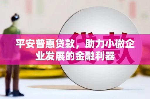 泰州平安普惠贷款，助力小微企业发展的金融利器