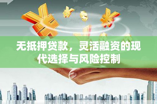 泰州无抵押贷款，灵活融资的现代选择与风险控制