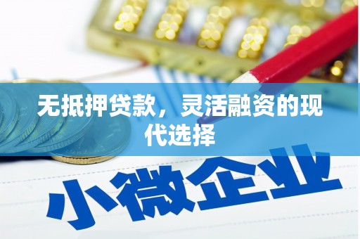 泰州无抵押贷款，灵活融资的现代选择