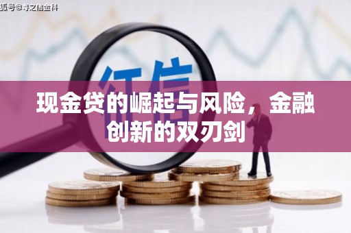泰州现金贷的崛起与风险，金融创新的双刃剑