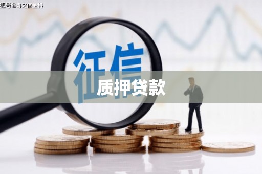 泰州质押贷款