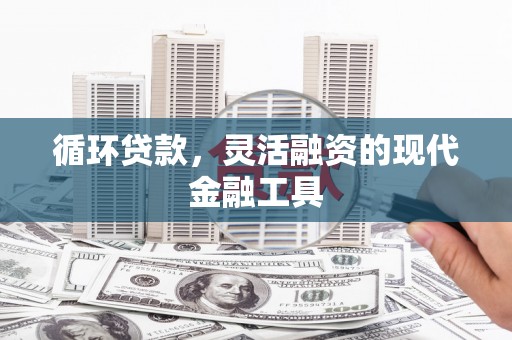 泰州循环贷款，灵活融资的现代金融工具