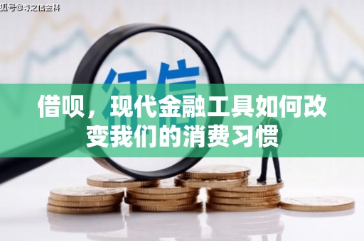 泰州借呗，现代金融工具如何改变我们的消费习惯