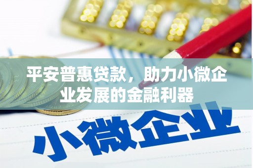 泰州平安普惠贷款，助力小微企业发展的金融利器