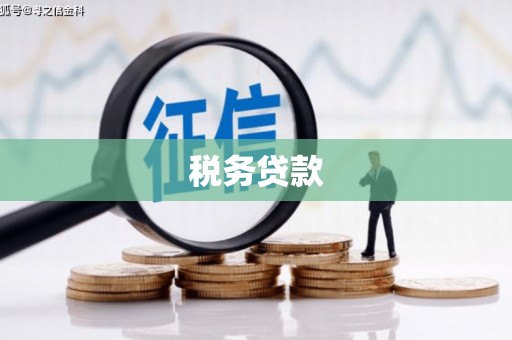 泰州税务贷款