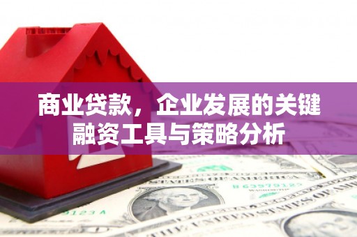 泰州商业贷款，企业发展的关键融资工具与策略分析