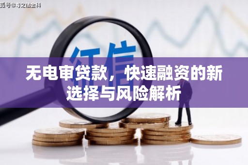 泰州无电审贷款，快速融资的新选择与风险解析