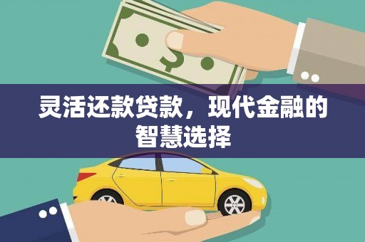 泰州灵活还款贷款，现代金融的智慧选择