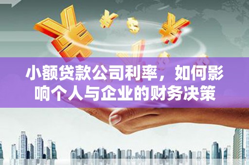 泰州小额贷款公司利率，如何影响个人与企业的财务决策