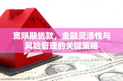 泰州宽限期贷款，金融灵活性与风险管理的关键策略