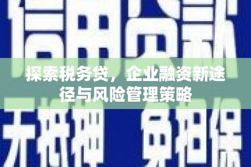 泰州探索税务贷，企业融资新途径与风险管理策略