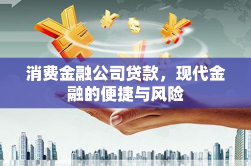 泰州消费金融公司贷款，现代金融的便捷与风险