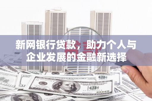 泰州新网银行贷款，助力个人与企业发展的金融新选择