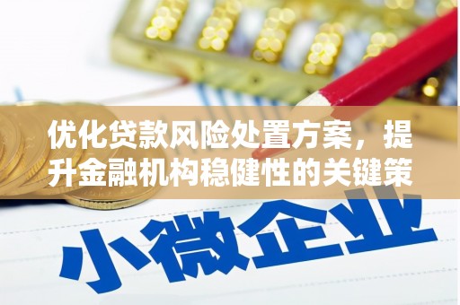 泰州优化贷款风险处置方案，提升金融机构稳健性的关键策略