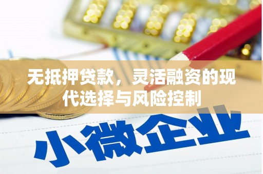 泰州无抵押贷款，灵活融资的现代选择与风险控制