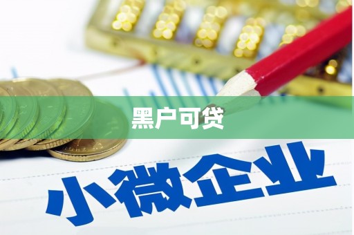 泰州黑户可贷
