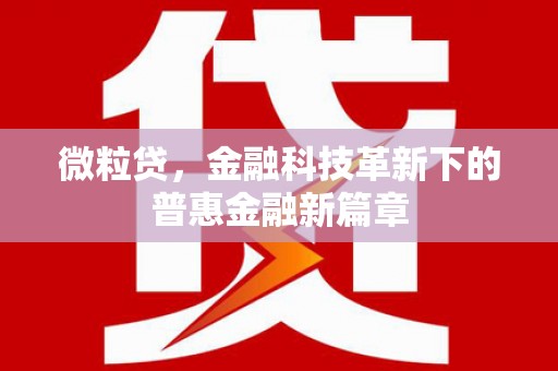 泰州微粒贷，金融科技革新下的普惠金融新篇章