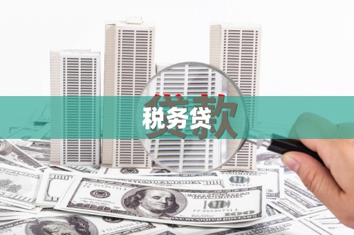 泰州税务贷