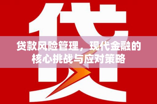 泰州贷款风险管理，现代金融的核心挑战与应对策略
