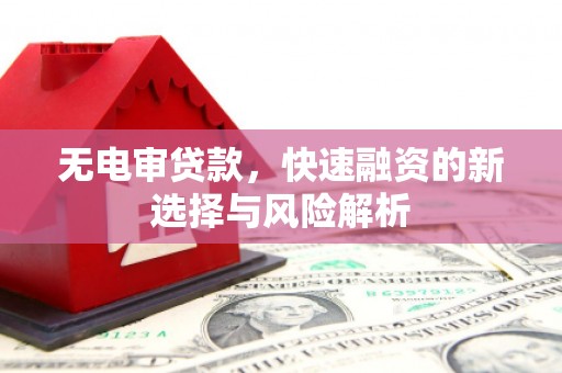 泰州无电审贷款，快速融资的新选择与风险解析