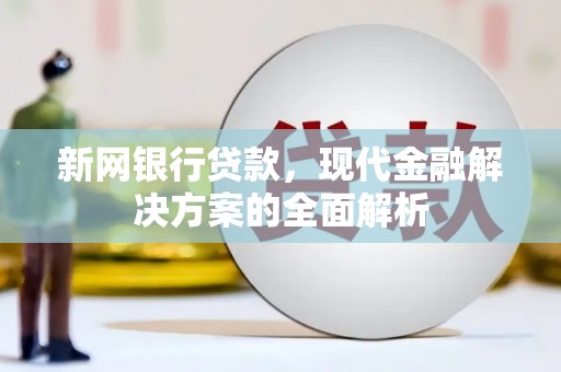 泰州新网银行贷款，现代金融解决方案的全面解析