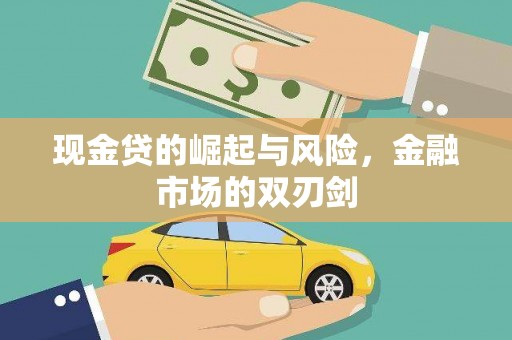 泰州现金贷的崛起与风险，金融市场的双刃剑