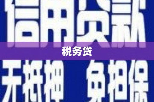 泰州税务贷
